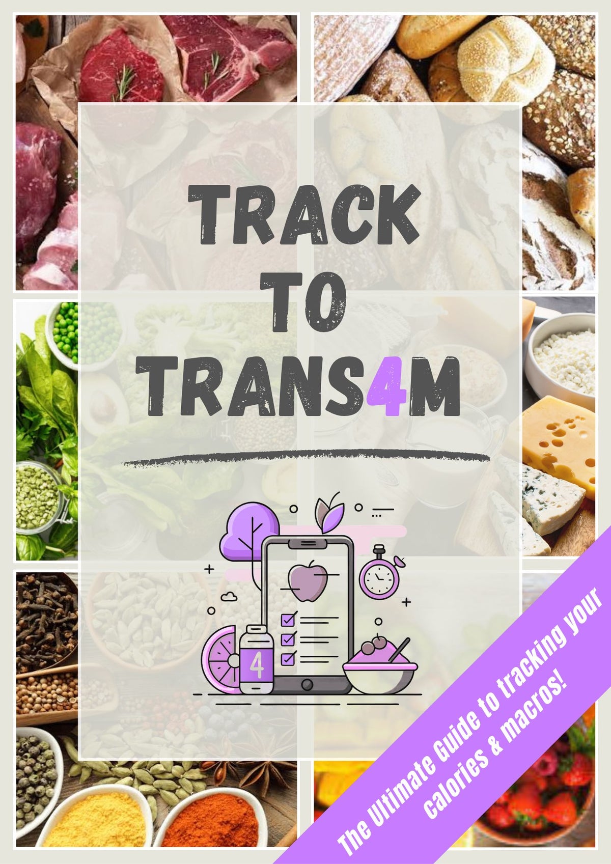Track to TRANS4M - Interactive E-Book